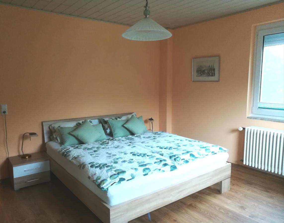 Nichtraucherferienwohnung-Neckarblick Ze-2022-74-Wz-118A Хайдельберг Экстерьер фото