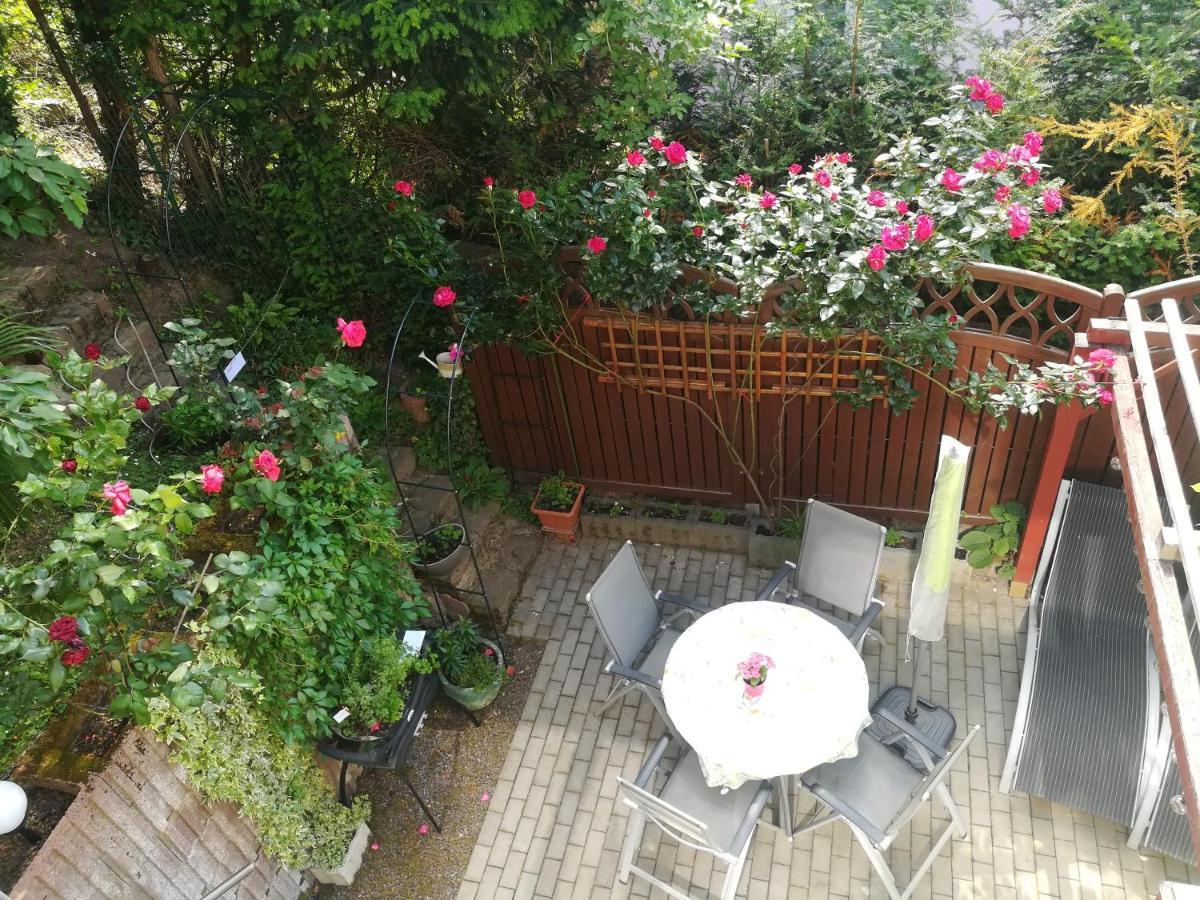 Nichtraucherferienwohnung-Neckarblick Ze-2022-74-Wz-118A Хайдельберг Экстерьер фото