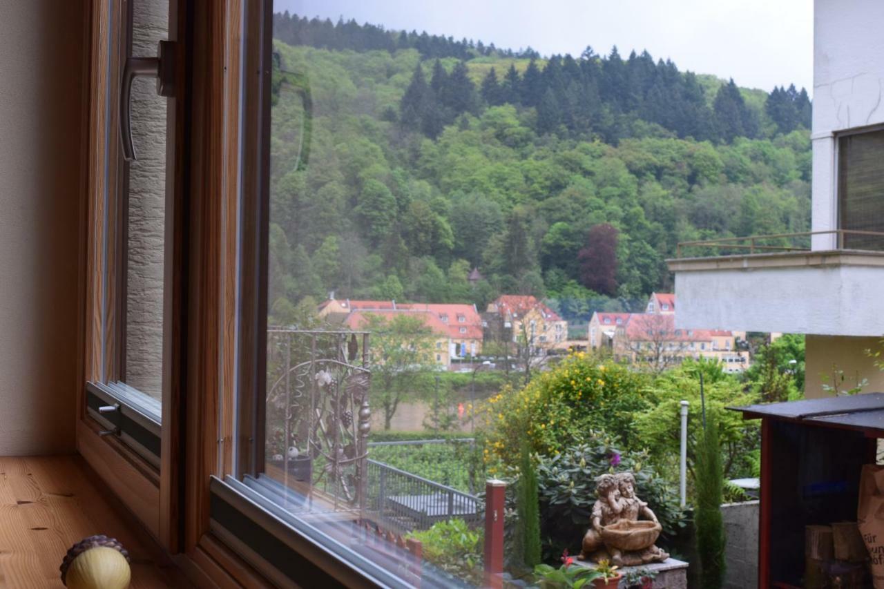 Nichtraucherferienwohnung-Neckarblick Ze-2022-74-Wz-118A Хайдельберг Экстерьер фото