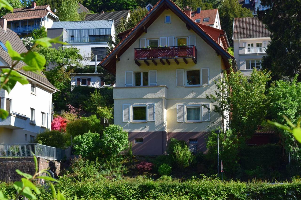 Nichtraucherferienwohnung-Neckarblick Ze-2022-74-Wz-118A Хайдельберг Экстерьер фото